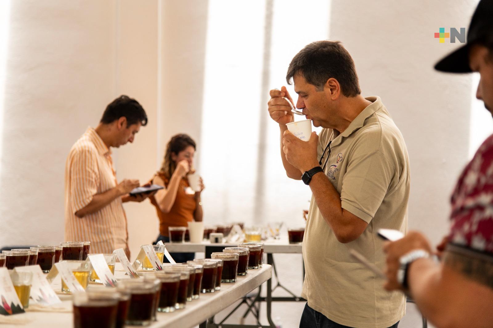 Pronto anunciarán ganadores de «Taza de excelencia 2024»