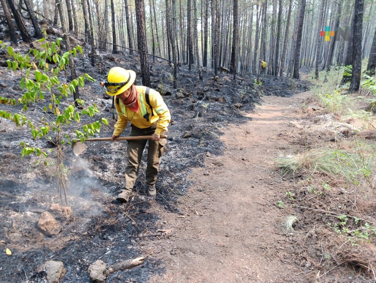 Fuerzas de tarea trabajan en atención a tres incendios forestales