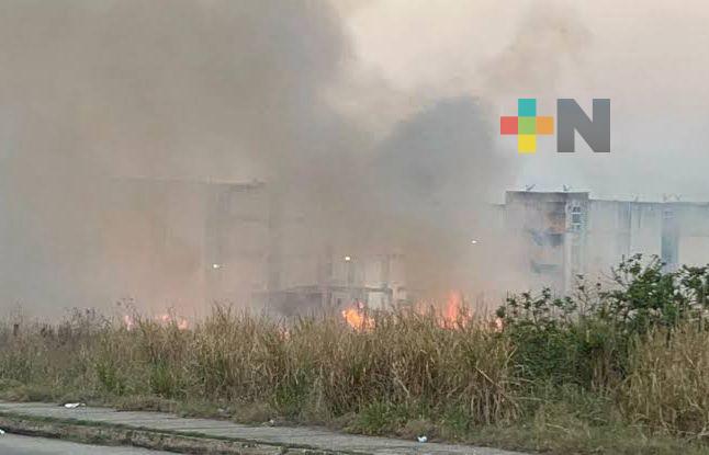 El 90 por ciento de incendios en pastizales son provocados: PC Coatzacoalcos