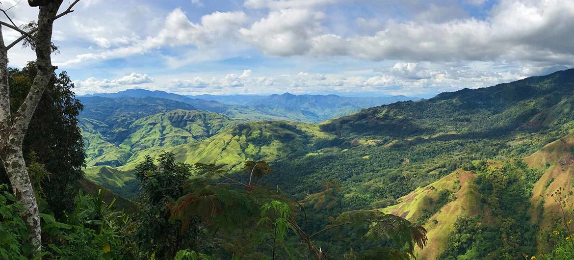 Se teme haya 670 muertos en un desprendimiento de tierras en Papúa Nueva Guinea