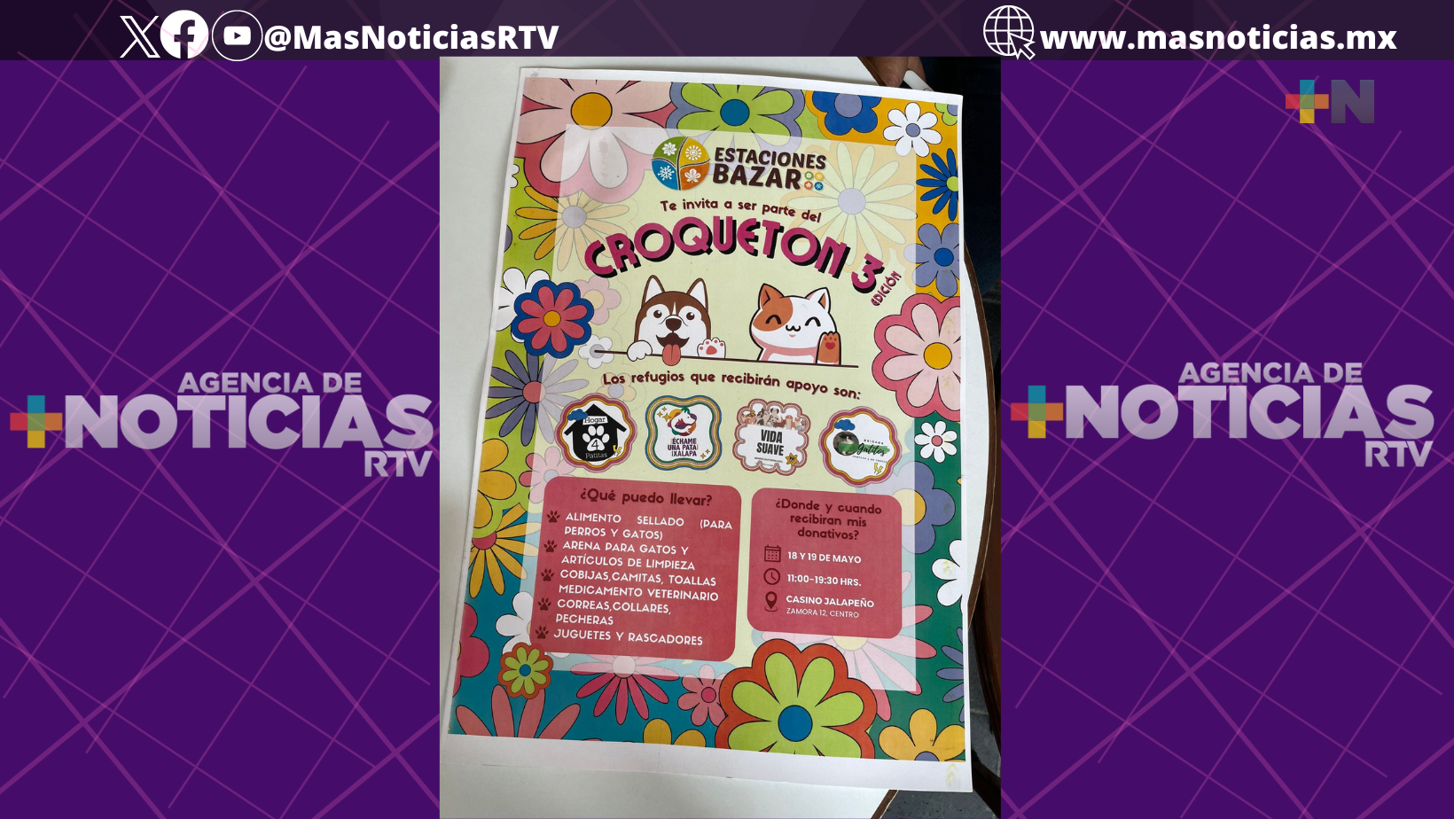 Realizarán croquetón con causa en Xalapa