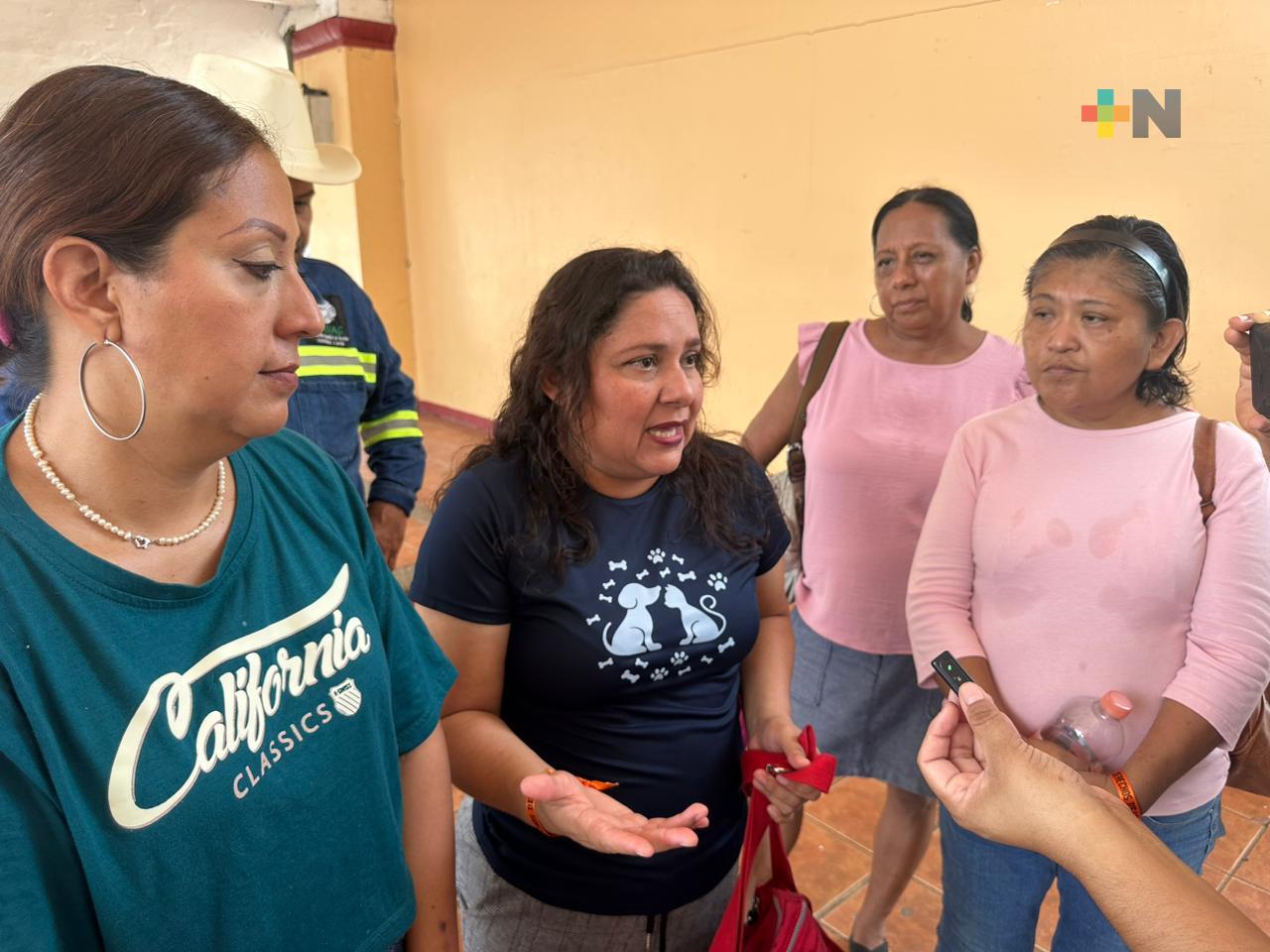 Cierran en Coatza tres albergues de animales por saturación; piden apoyo