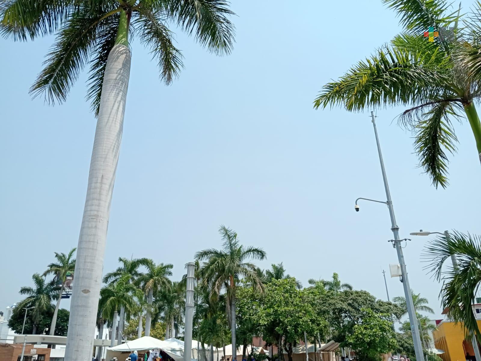 Calor de casi 40 grados se mantiene el fin de semana en Veracruz-Boca del Río