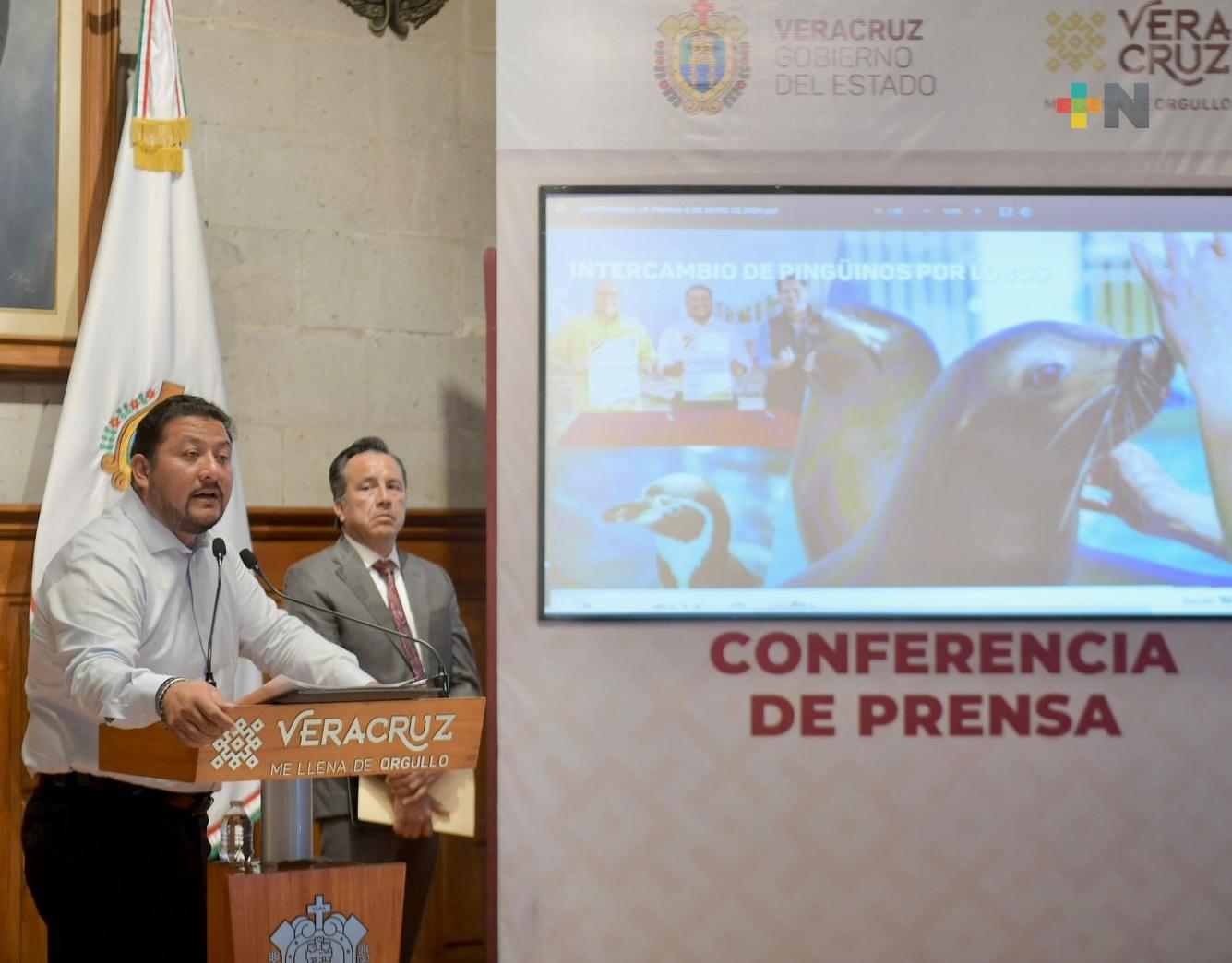 Aquarium de Veracruz tendrá 44 nuevas especies, mantiene conservación e intercambio