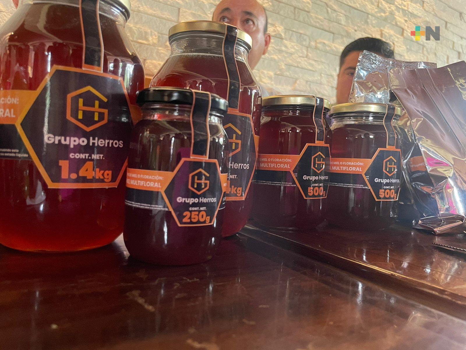 Sequía y agroquímicos afectan la producción de miel en Veracruz