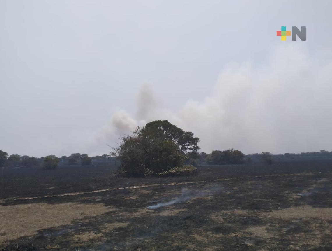 Fuerzas de tarea combaten incendio de pastizal en Alvarado: SPC
