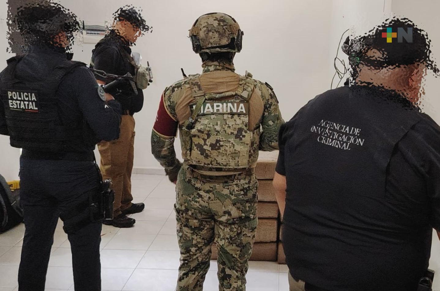 En cateo, FGR asegura 700 kilos de marihuana en Tuxpan, Veracruz
