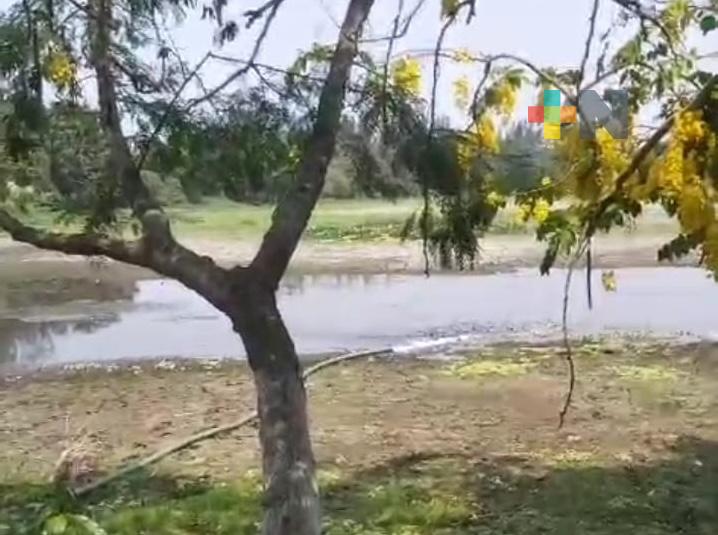 Ciudadano compra dos pipas de agua para abastecer a laguna de Lagartos