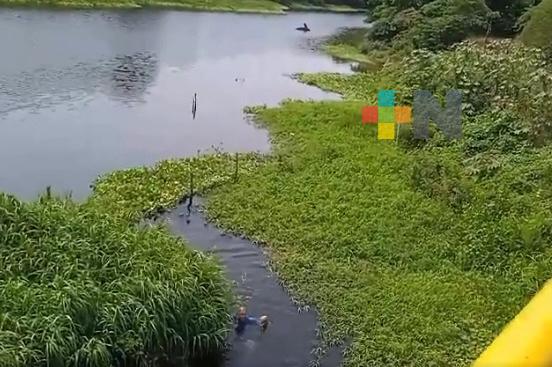 Grupo MAS no tiene que sacar agua del río Cotaxtla sino invertir y dragar el Jamapa