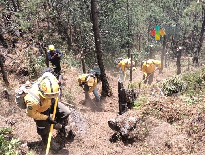 Este lunes fuerzas de tarea atendieron 23 incendios forestales en la entidad