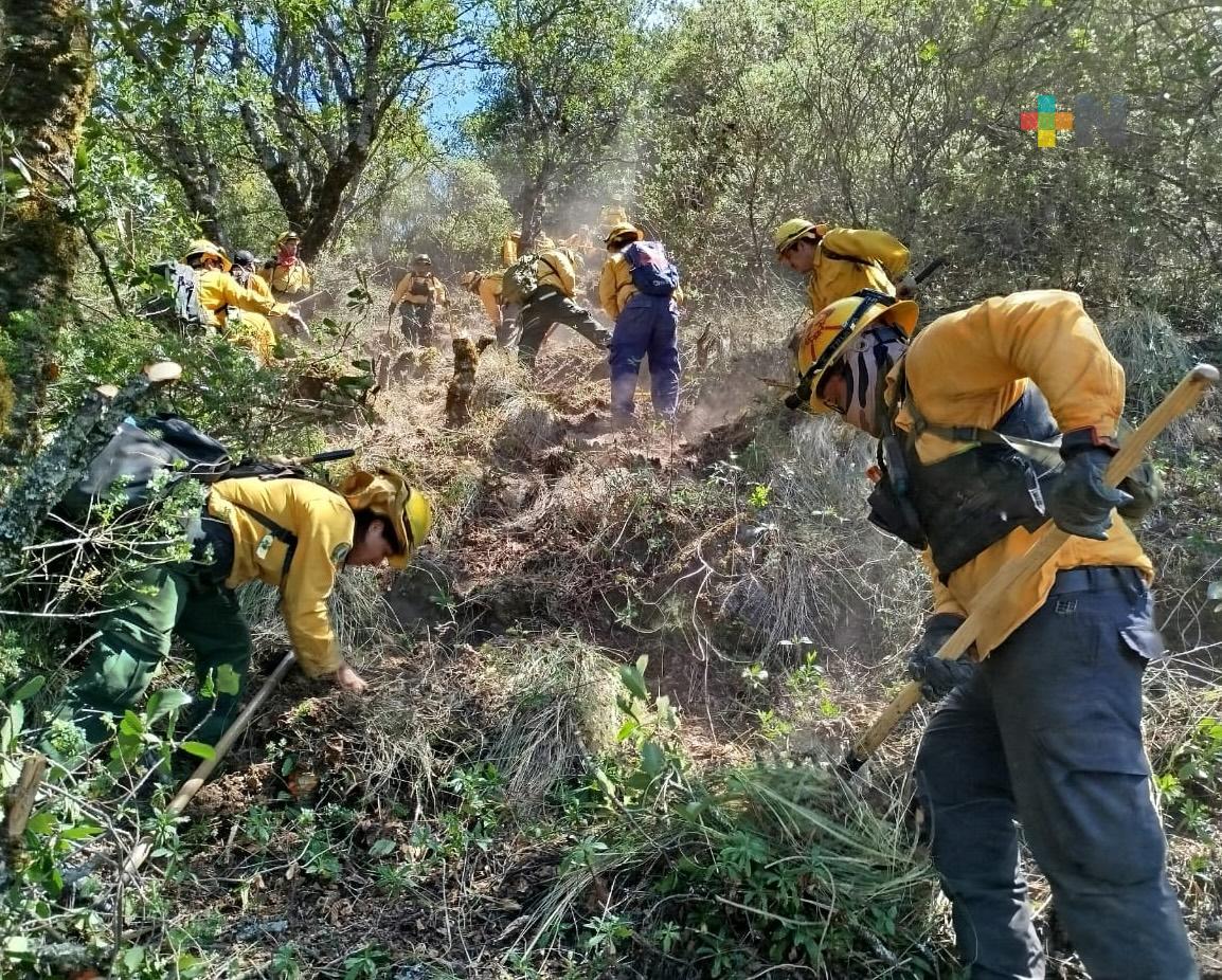 De manera coordinada se atienden 26 incendios en Veracruz: PC Estatal