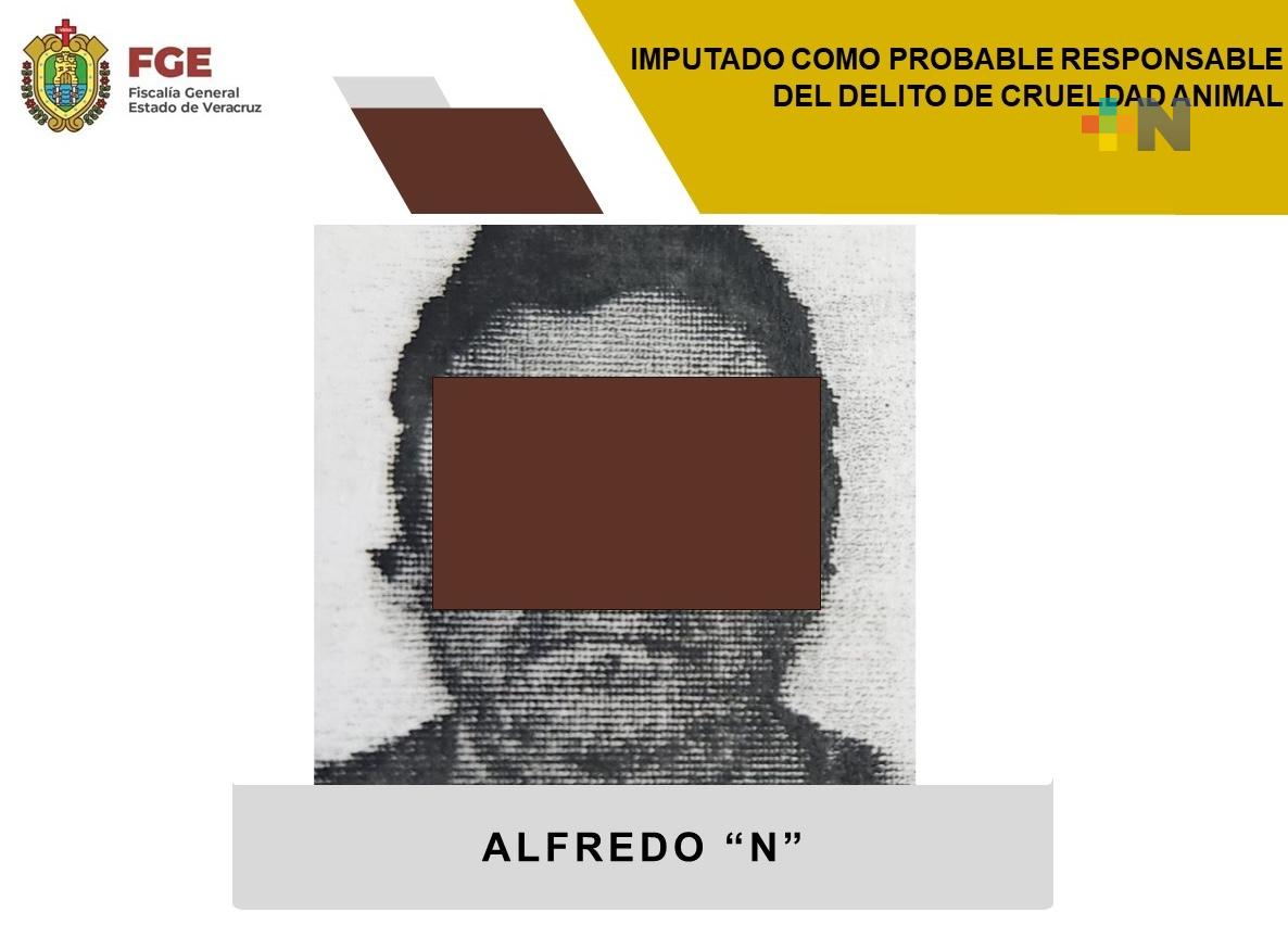 Alfredo «N» imputado como probable responsable de crueldad animal