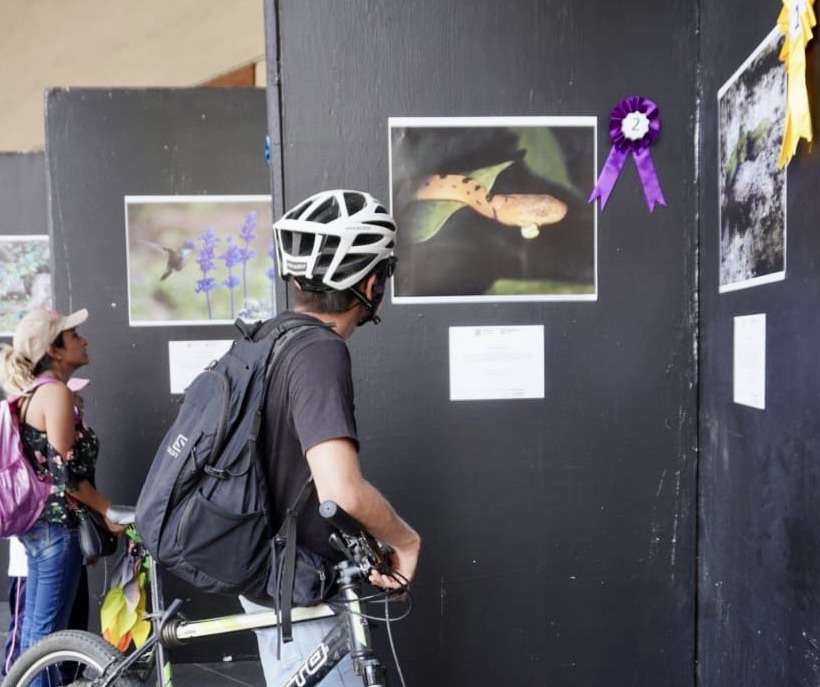 En fotografías, exponen diversidad natural y resiliencia ambiental en Veracruz