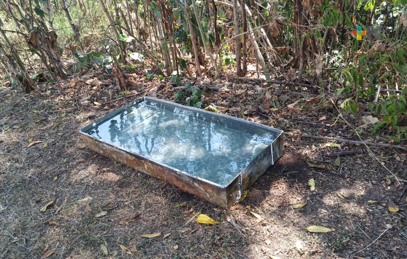 En RTV se han colocado bebederos para aves y fauna del Cerro de la Galaxia