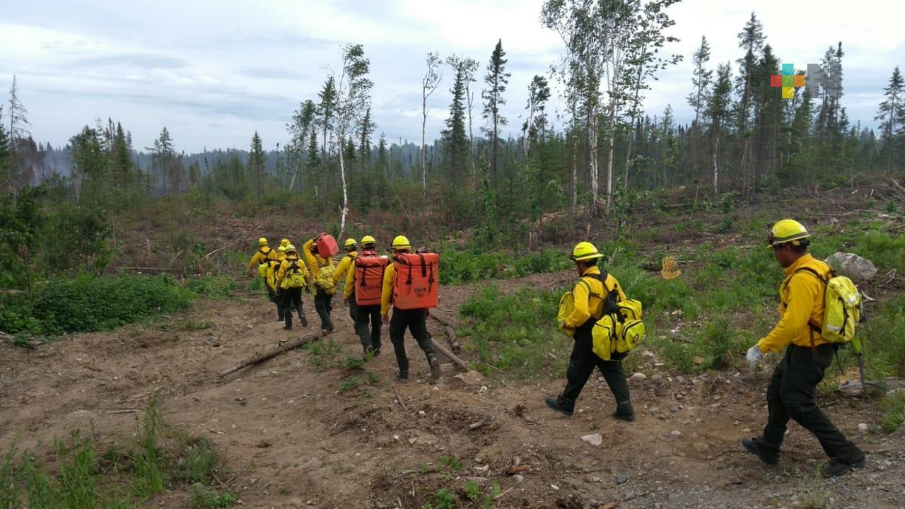 Atienden ocho incendios de pastizales al día en Emiliano Zapata, Veracruz