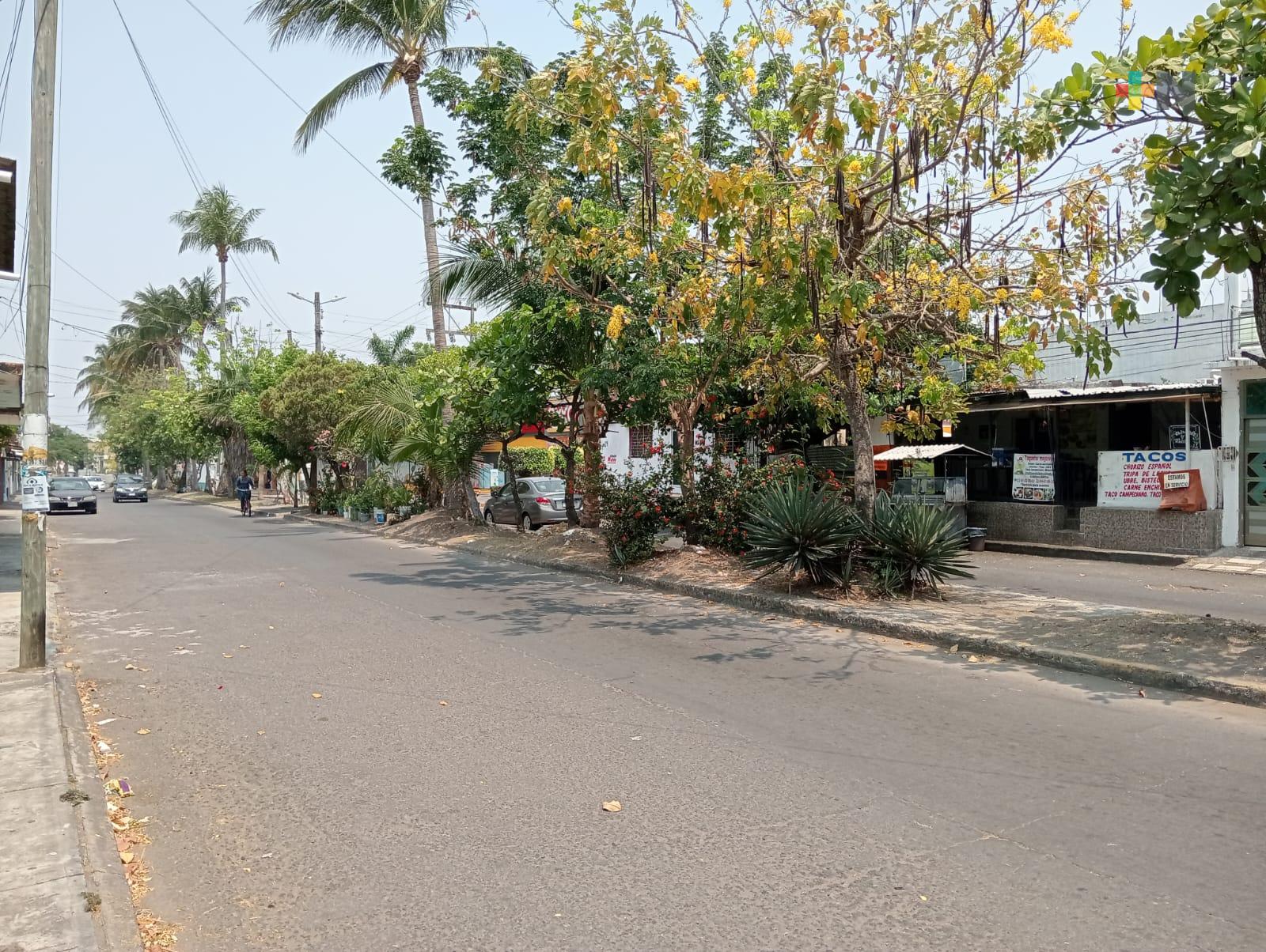 Dos semanas sin agua en colonia Carranza de Boca del Río