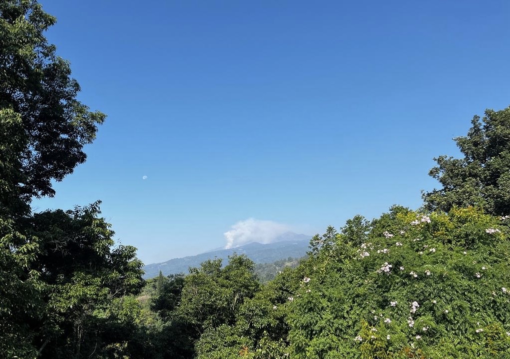 Fuerzas de tarea atienden incendio forestal en Xico