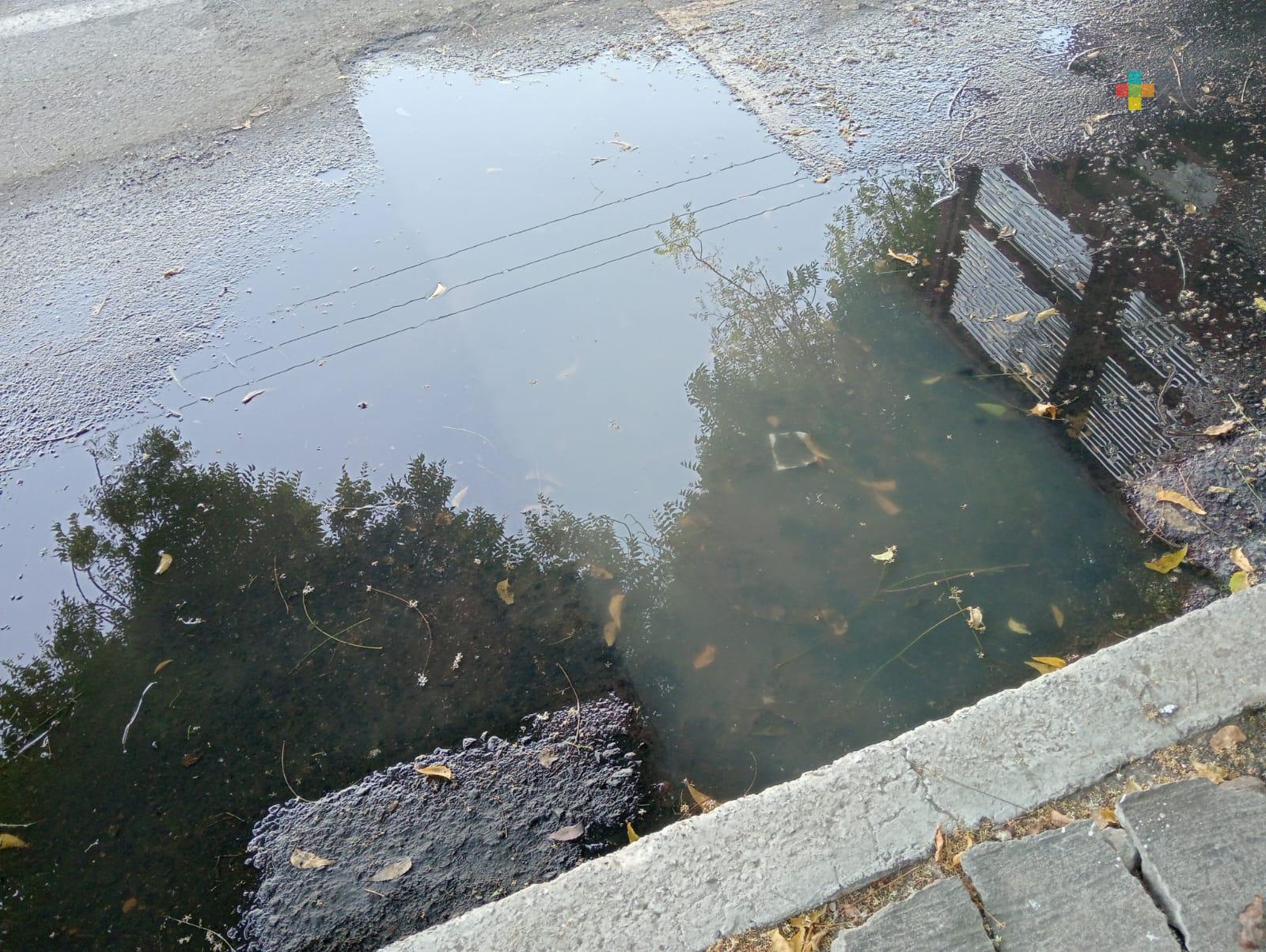 Fuga de aguas negras en avenida 20 de Noviembre del puerto de Veracruz