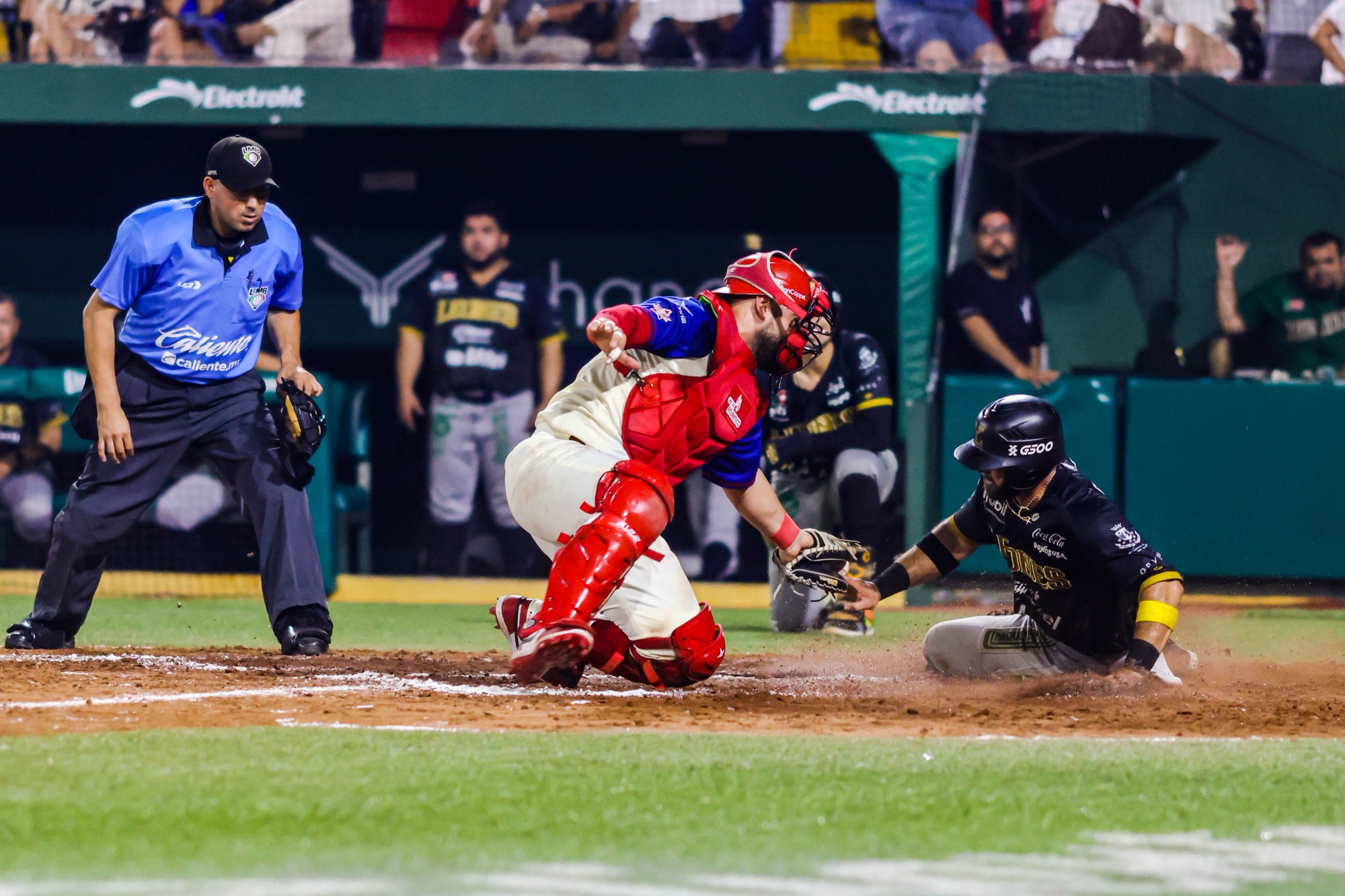 En extrainnings, Yucatán vence a El Águila y se lleva la serie
