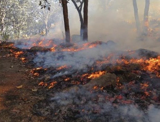 Alerta Sedarpa: No a las quemas agrícolas durante surada