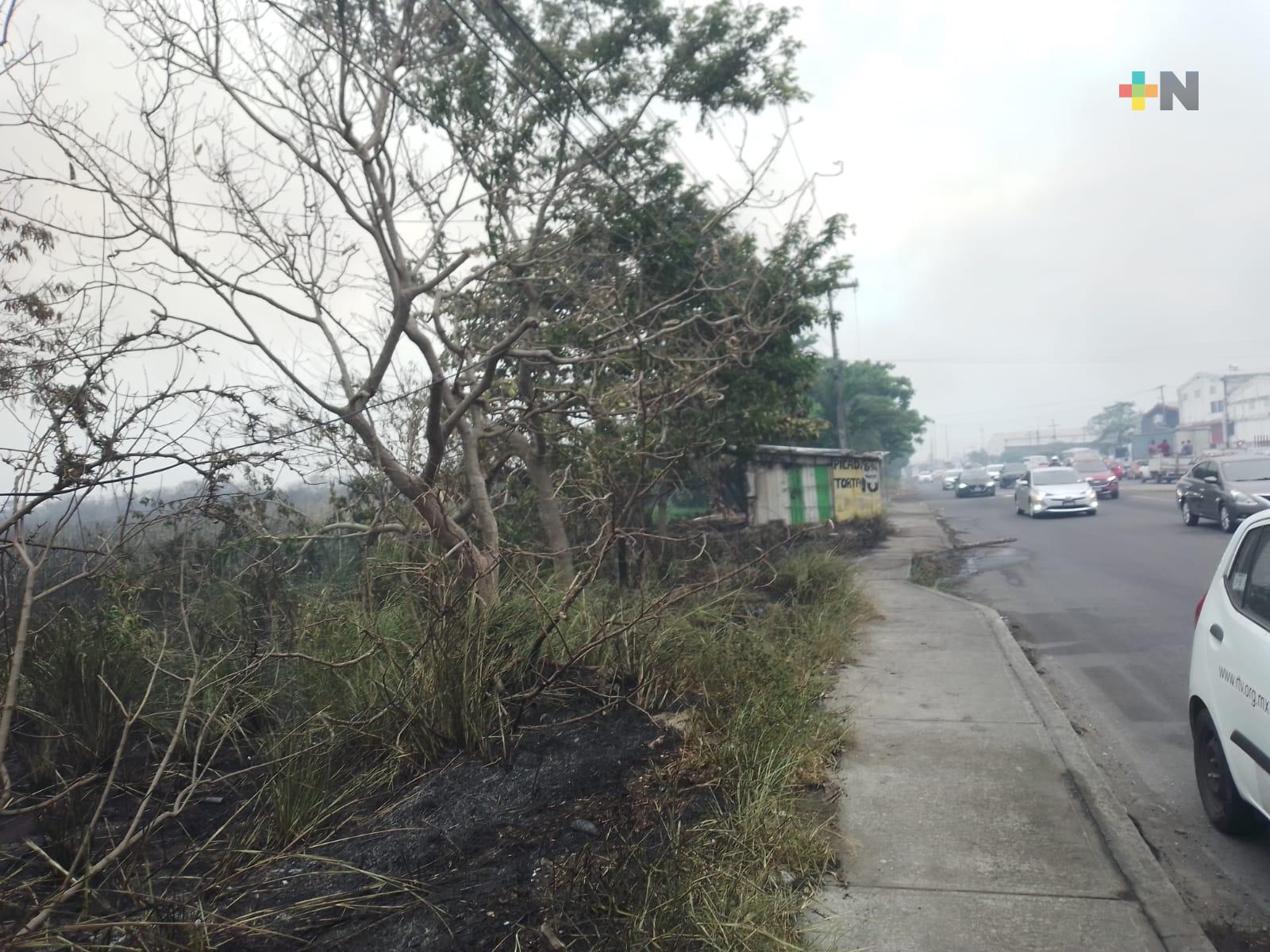 Ocupan cinco pipas de agua para sofocar incendio en pastizal de Las Vegas-El Tejar