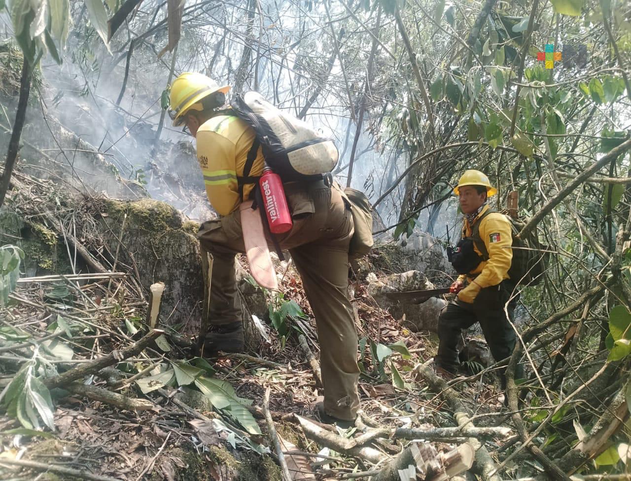 Cuatro incendios forestales activos en las altas montañas, reporta Conafor