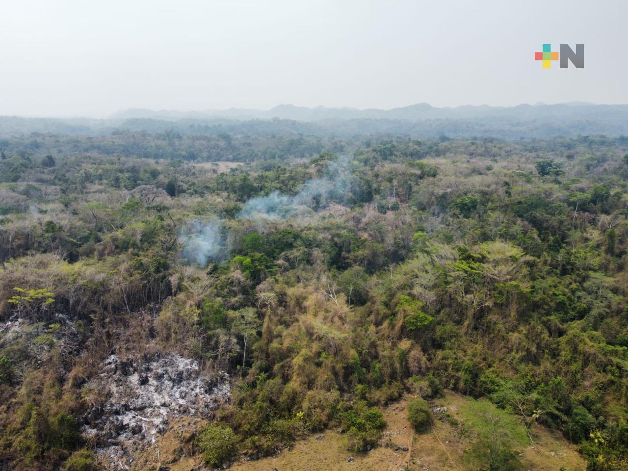 Reporta Conafor ocho incendios forestales activos en las altas montañas al 13 de mayo