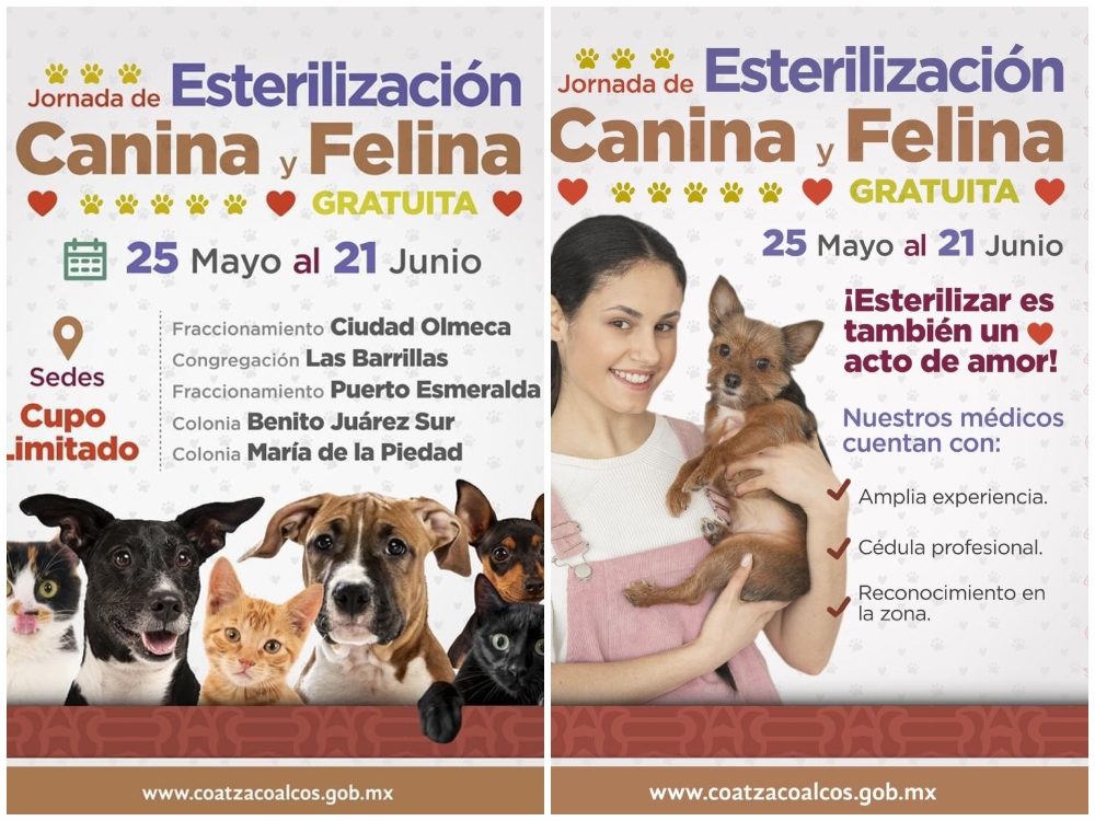 Este fin de semana habrá jornada de esterilización canina y felina en Coatza