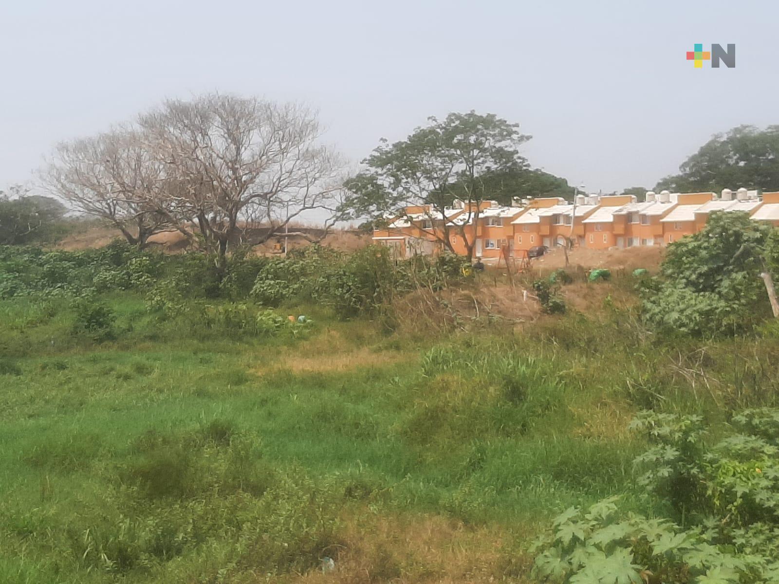 Tala de árboles y desechos de construcción secan laguna Las Conchas en Veracruz