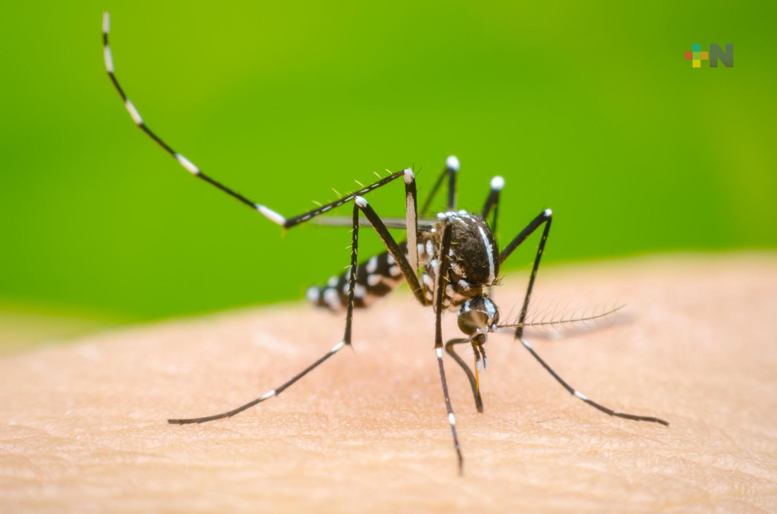 Gobierno de Veracruz afina detalles para programa estatal contra el dengue