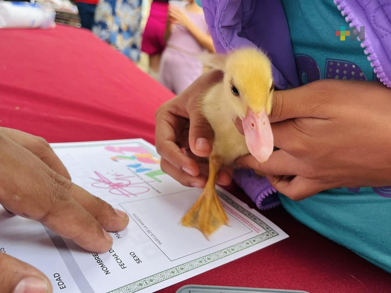 Más de cinco mil mascotas registradas el 30 de abril en el estado del Veracruz