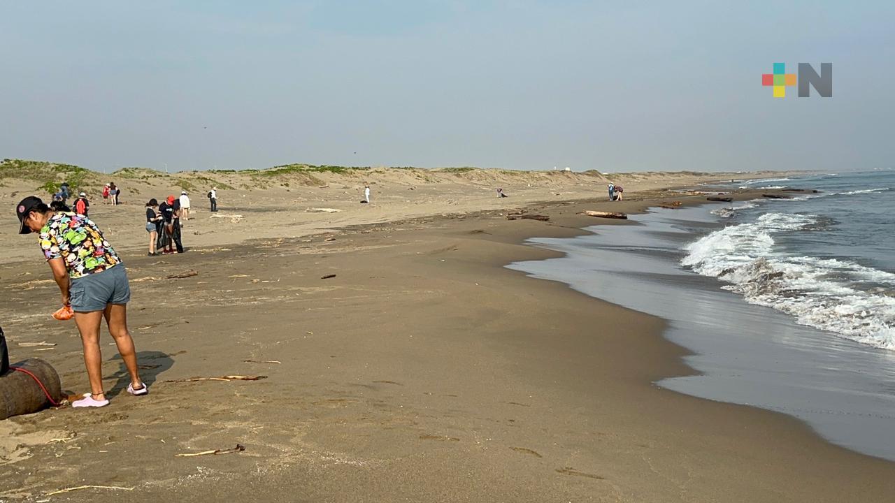 Se retrasa anidación de tortugas marinas en playas de Coatzacoalcos