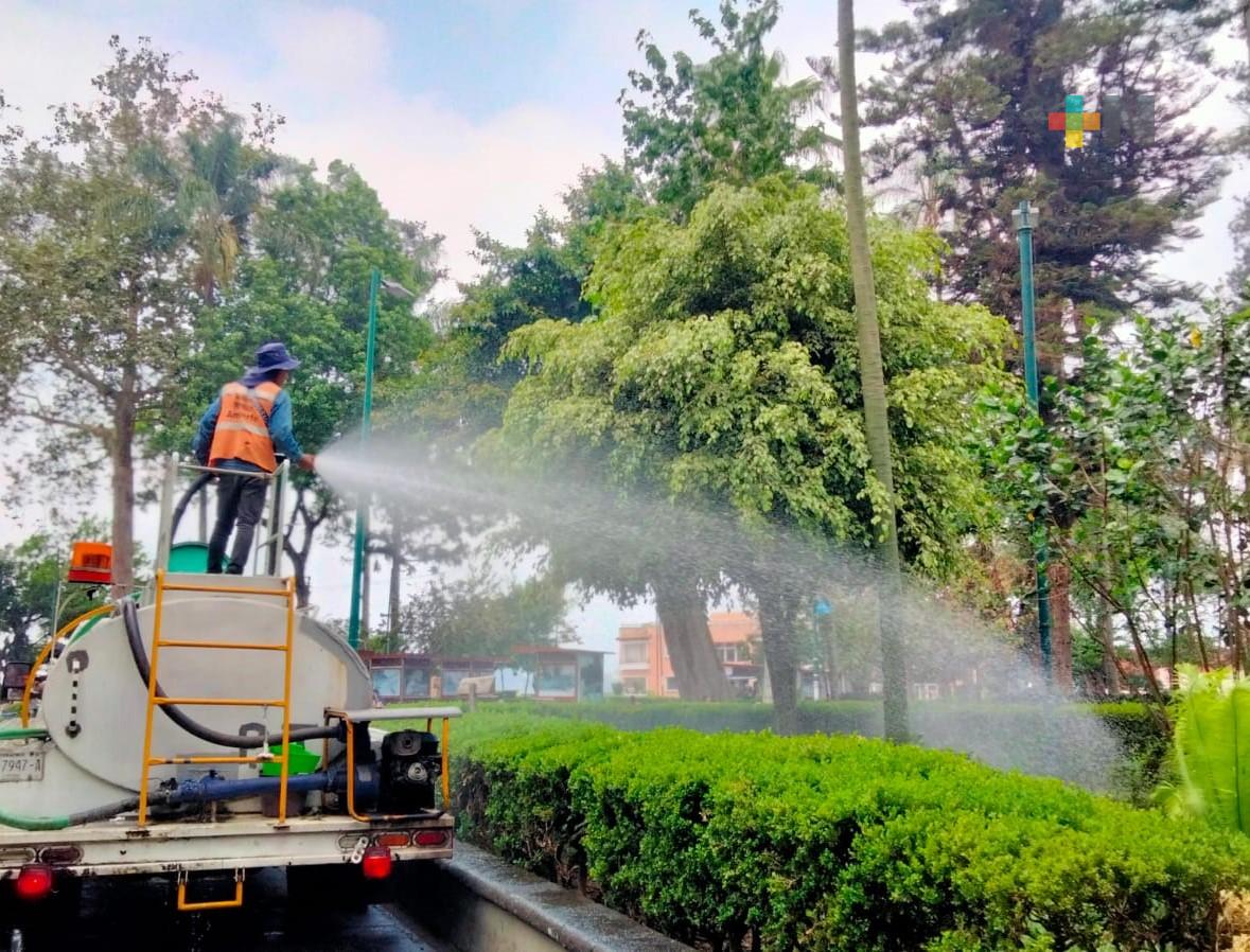 Personal de alcaldía Xalapa riega parques y jardines ante la falta de lluvias