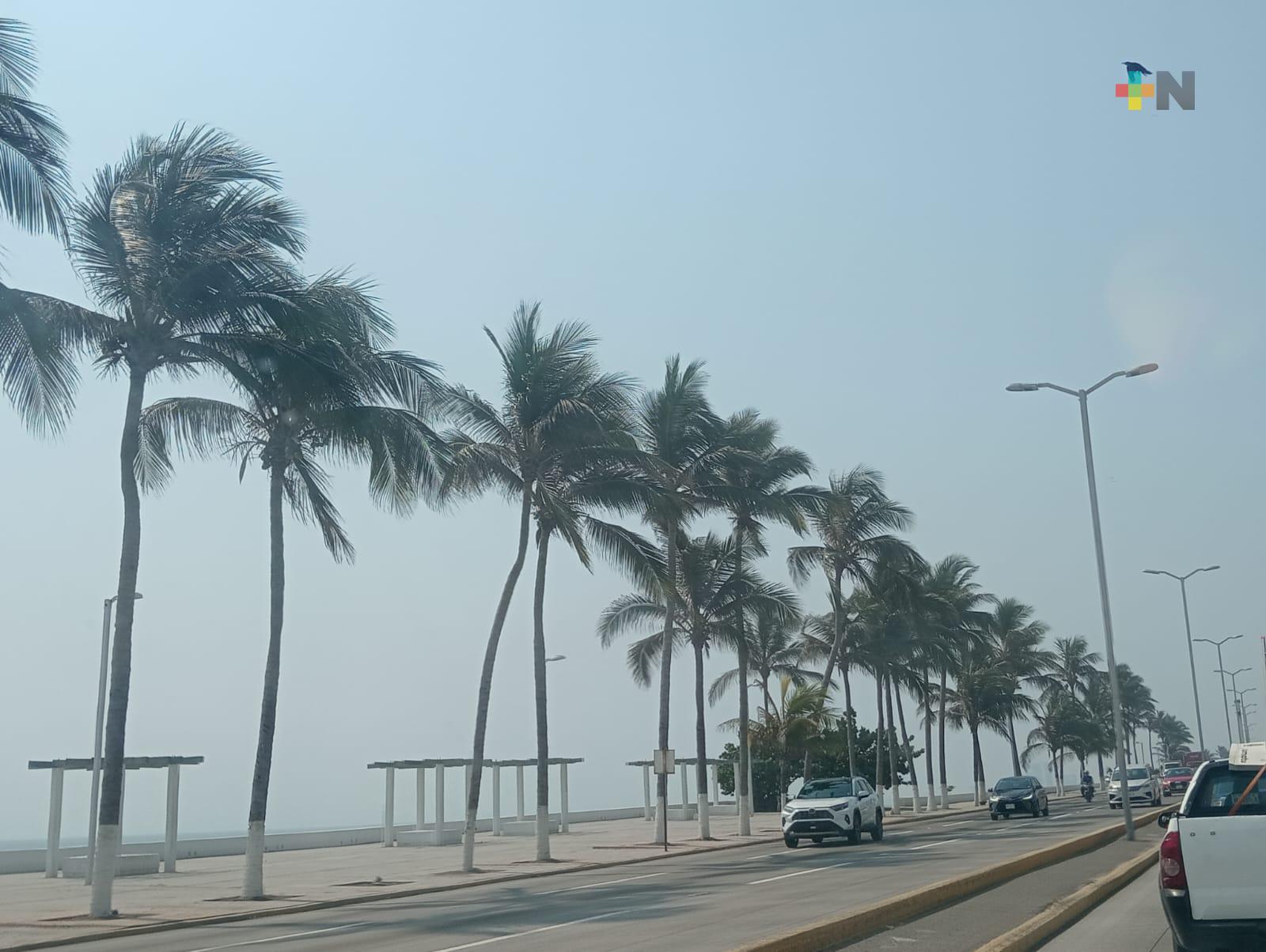 Habrá surada el viernes antes de llegada de norte al estado de Veracruz