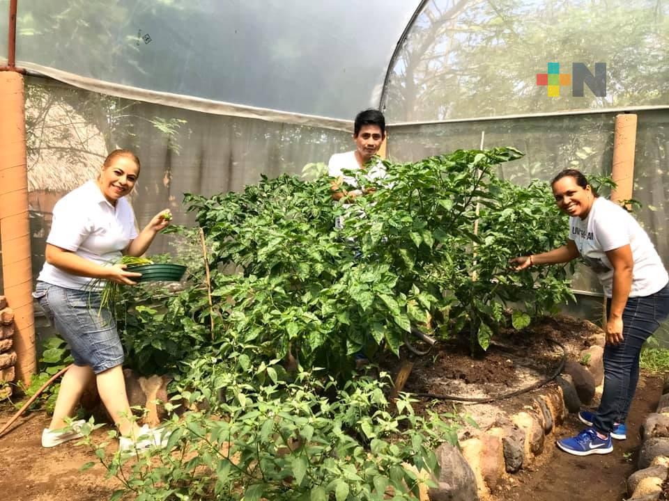 En Coatzacoalcos llevarán a cabo taller de huertos urbanos