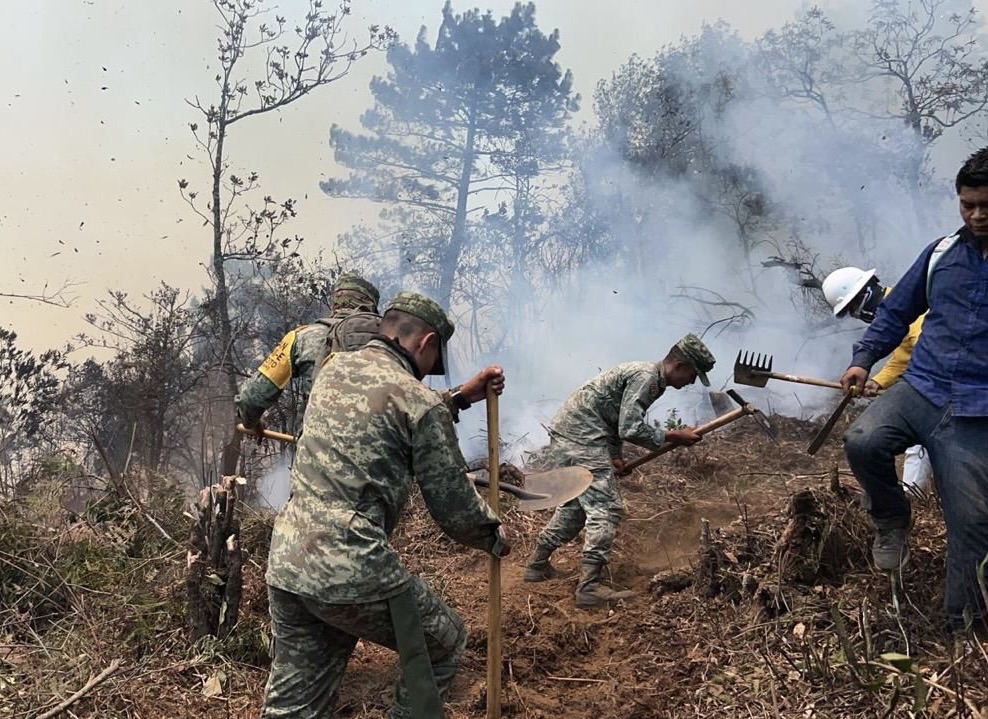Se intensifica el combate a incendios; apoyo total a brigadistas por su entrega