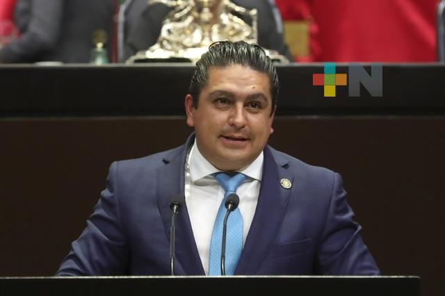 Piden hasta 20 años de cárcel a quien provoque un incendio de manera intencionada en un bosque