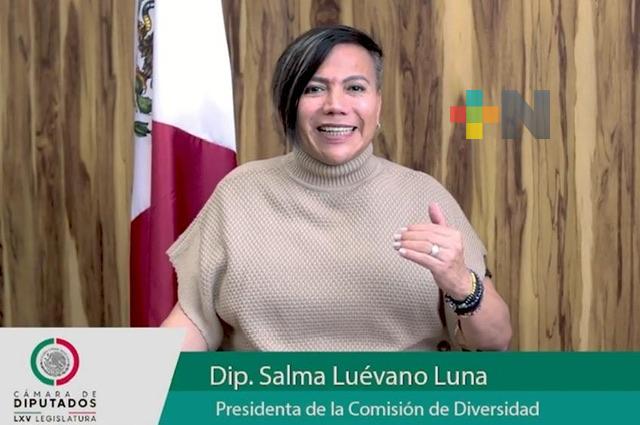 Llama diputado a sumarse a las actividades de la semana “Colores con Orgullo LGBTTTIQA+”
