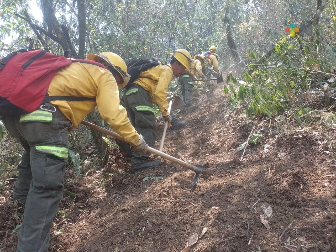 Se refuerzan acciones de vigilancia y combate en incendios forestales: Carlos Juárez