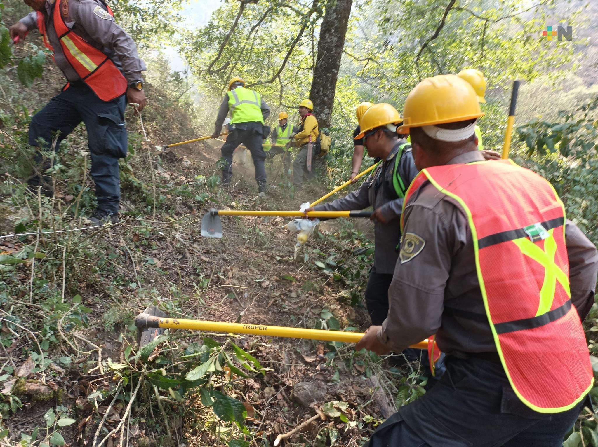 IPAX aporta elementos para sofocar incendio forestal en Tlacolulan