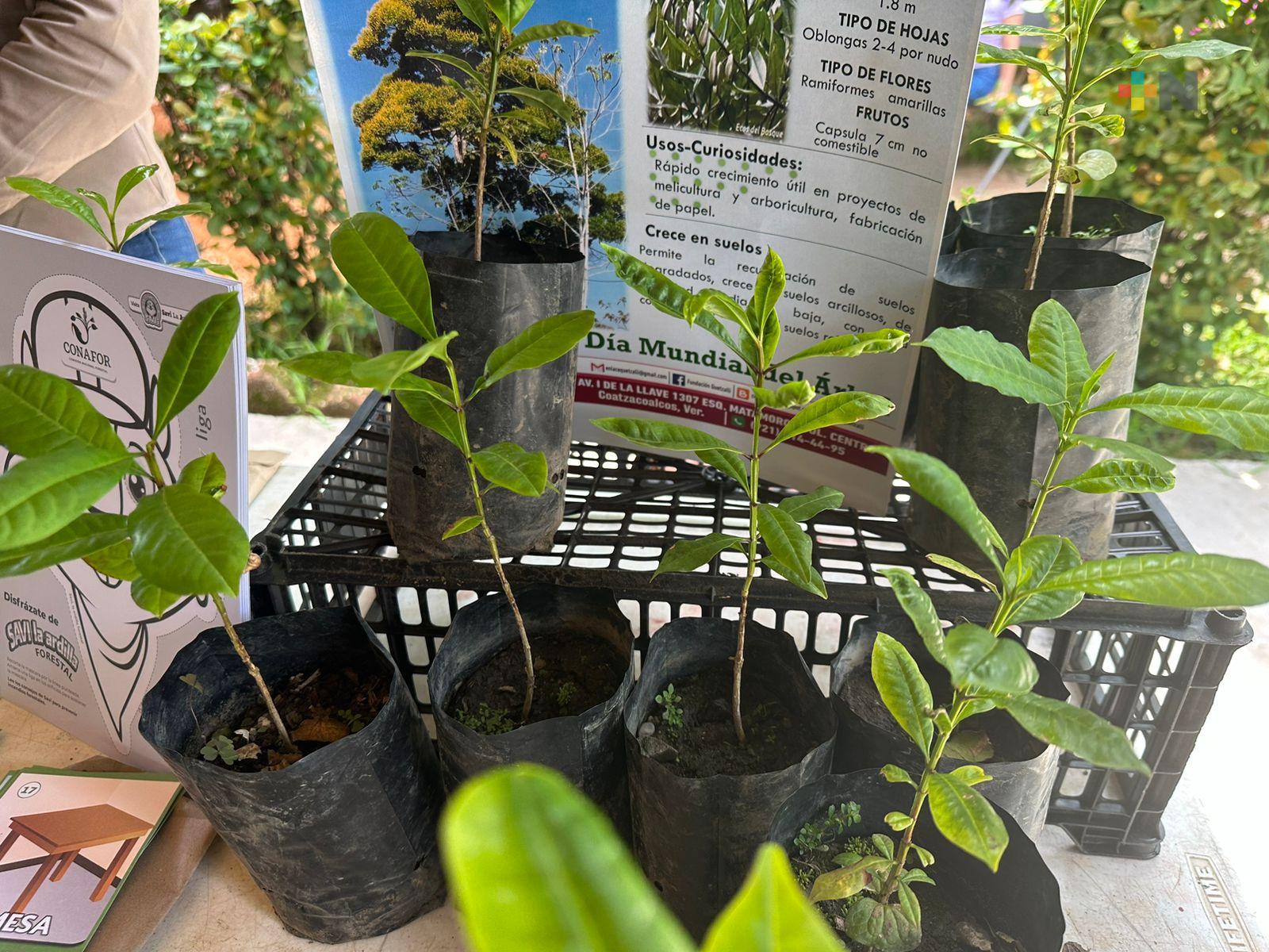 «Adopta un árbol», campaña que contribuye al medio ambiente en Coatzacoalcos