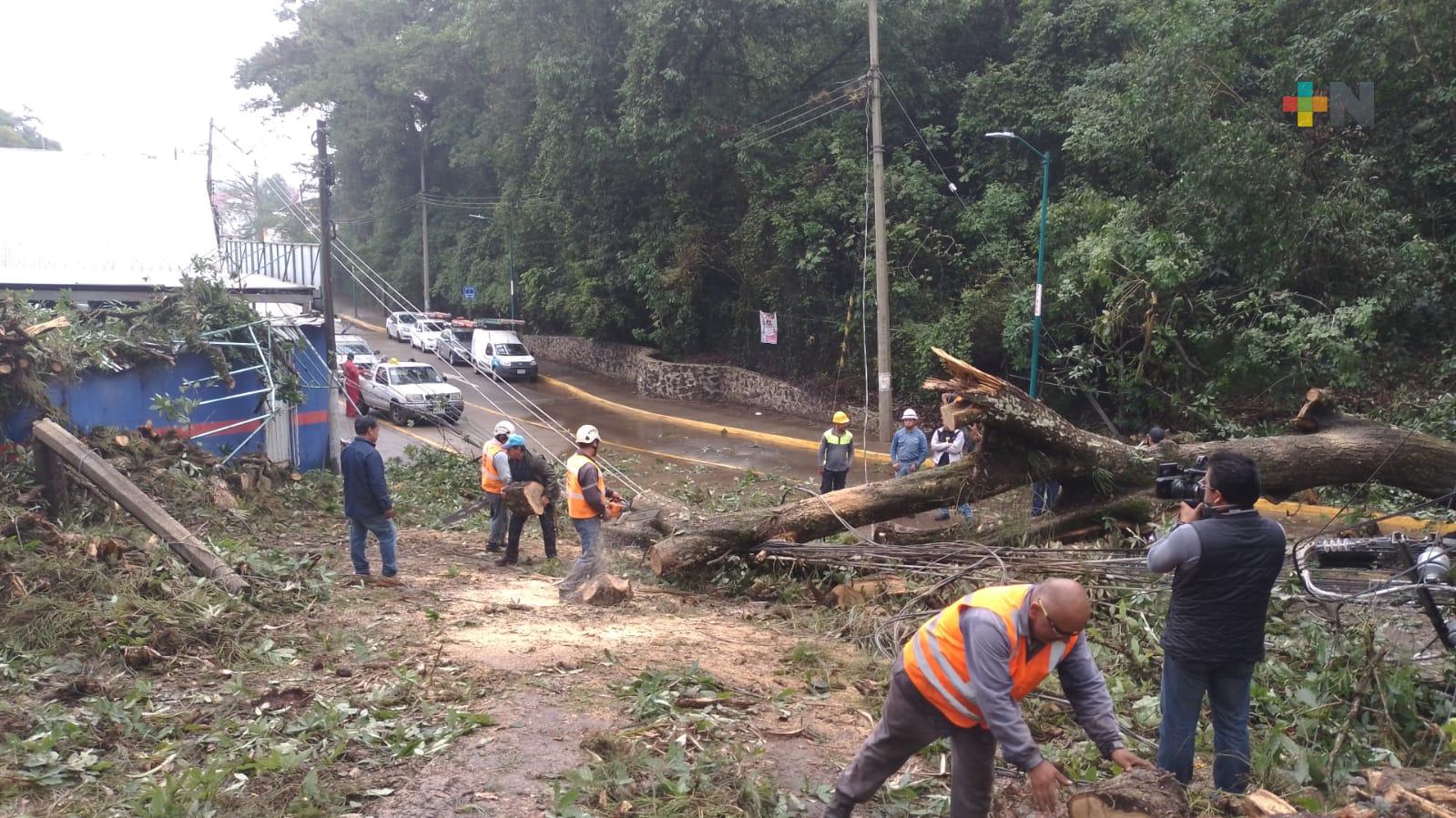 Muchas lluvia y pocas afectaciones por «Alberto»; otro fenómeno en formación en el golfo