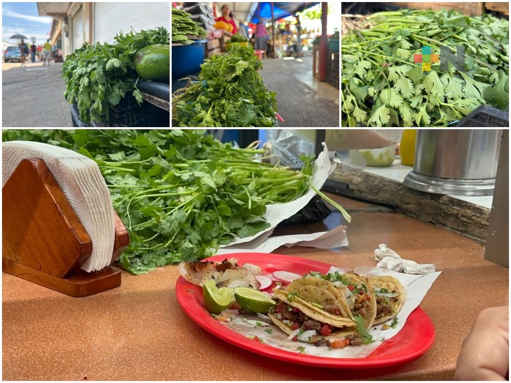 Aumento en precio de cilantro afecta a consumidores