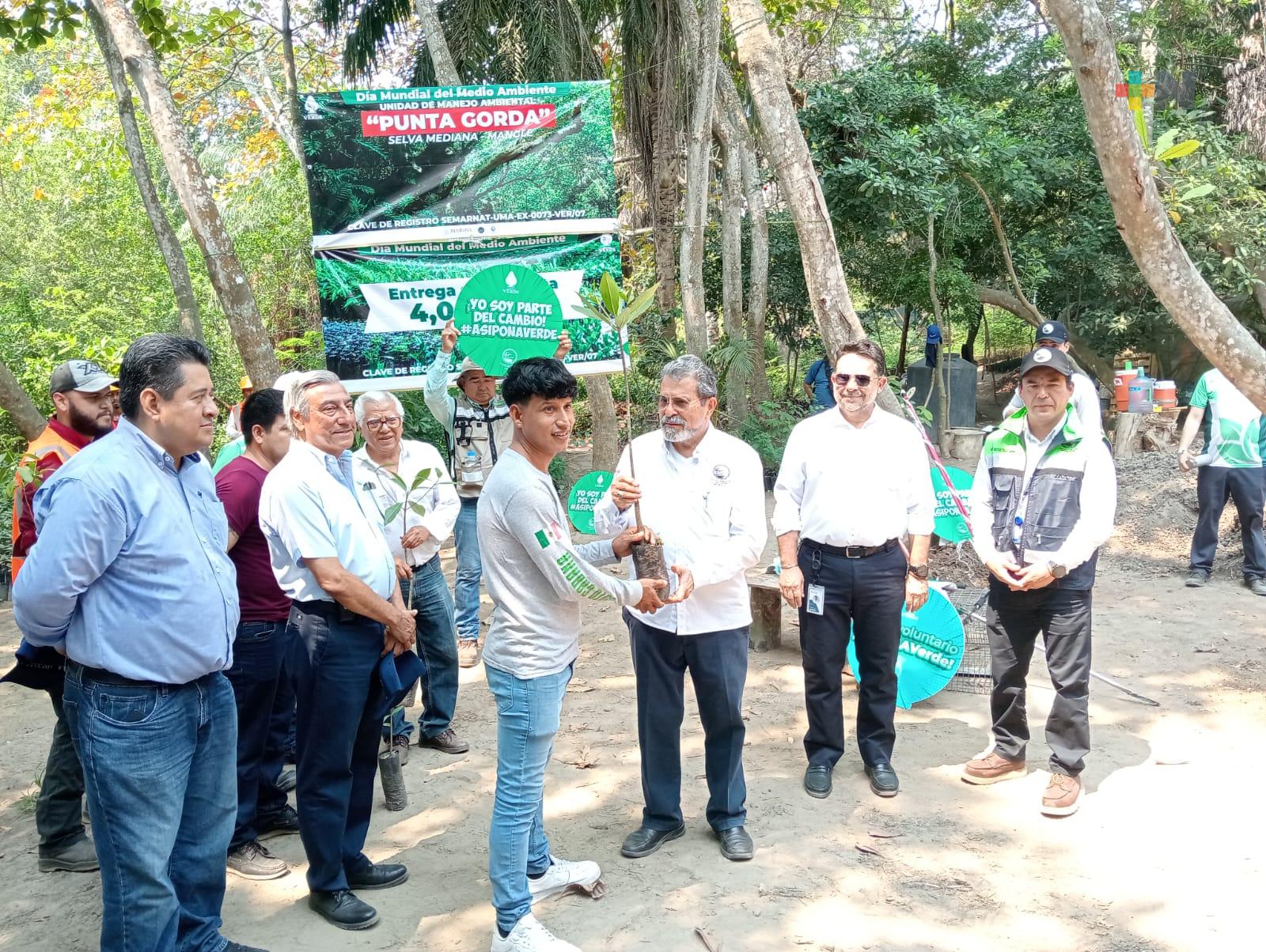 Asipona Veracruz entrega 1,500 árboles de mangle a la UMA Punta Gorda