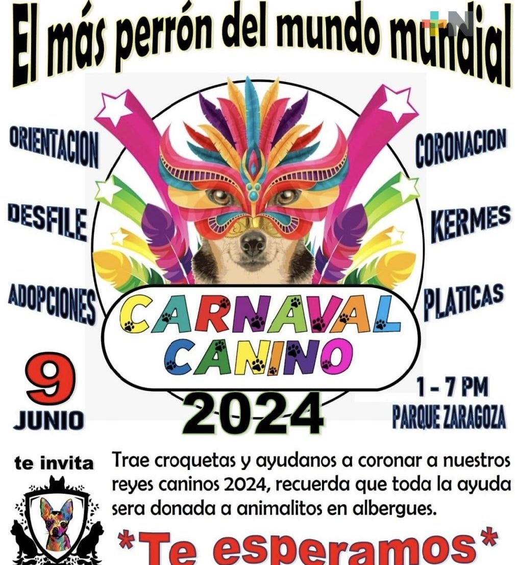 «Carnaval canino» en Veracruz puerto espera recaudar una tonelada de alimento
