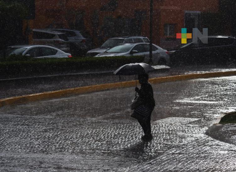 Nieblas, lloviznas, lluvias y tormentas dispersas en territorio veracruzano