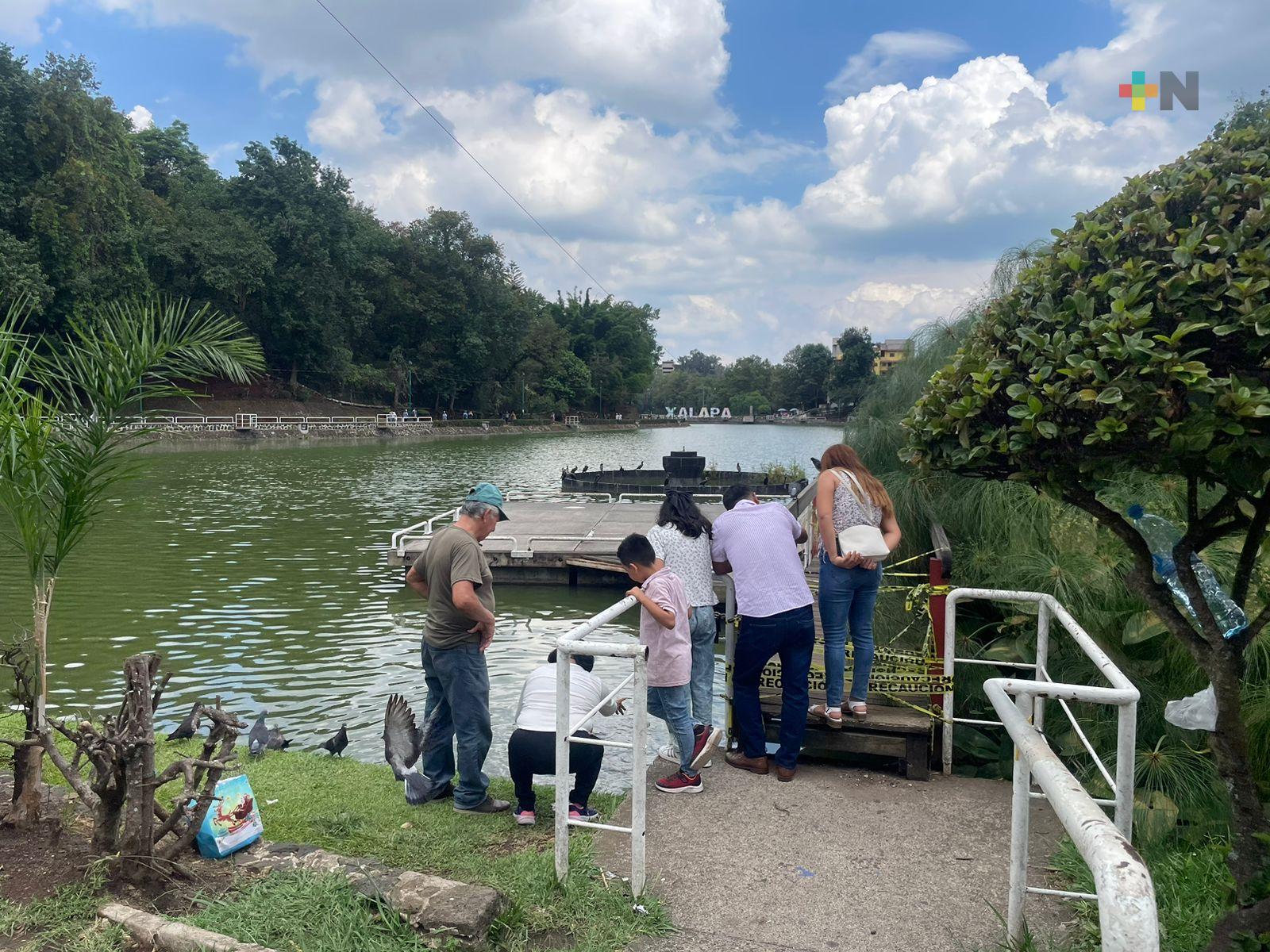 Familias xalapeñas celebraron el Día del Padre
