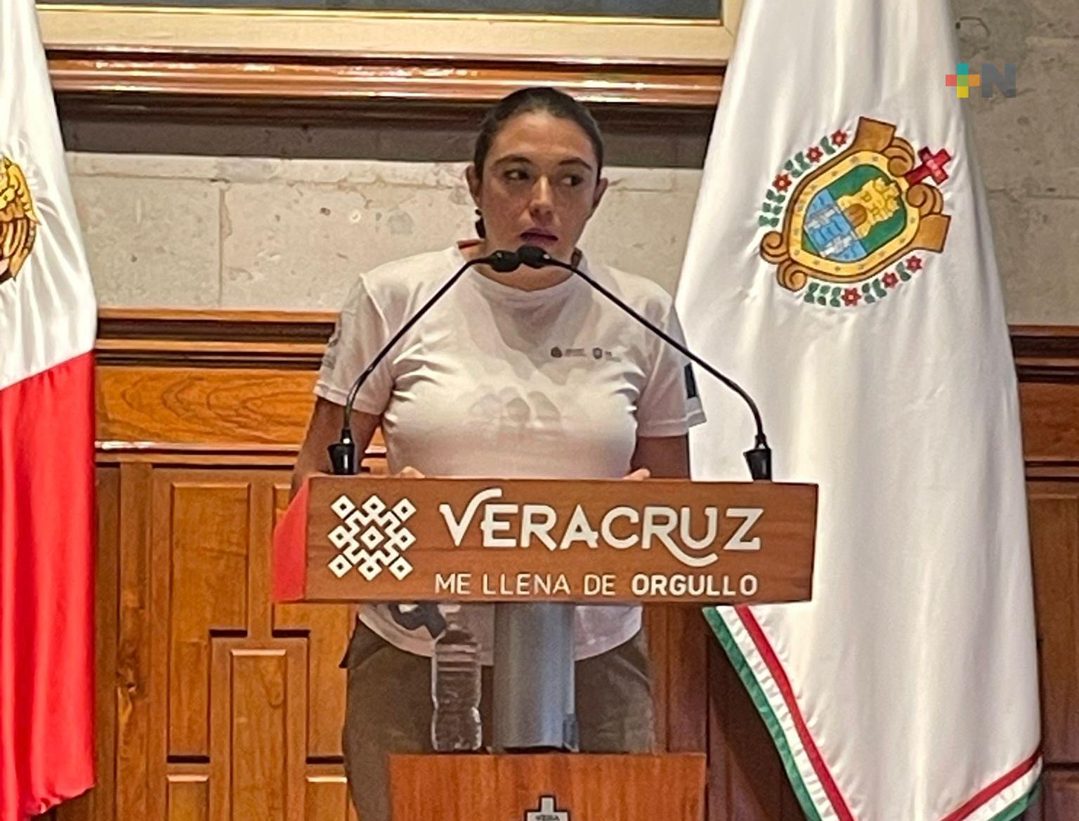 En territorio veracruzano hay 20 incendios activos: PC Estatal