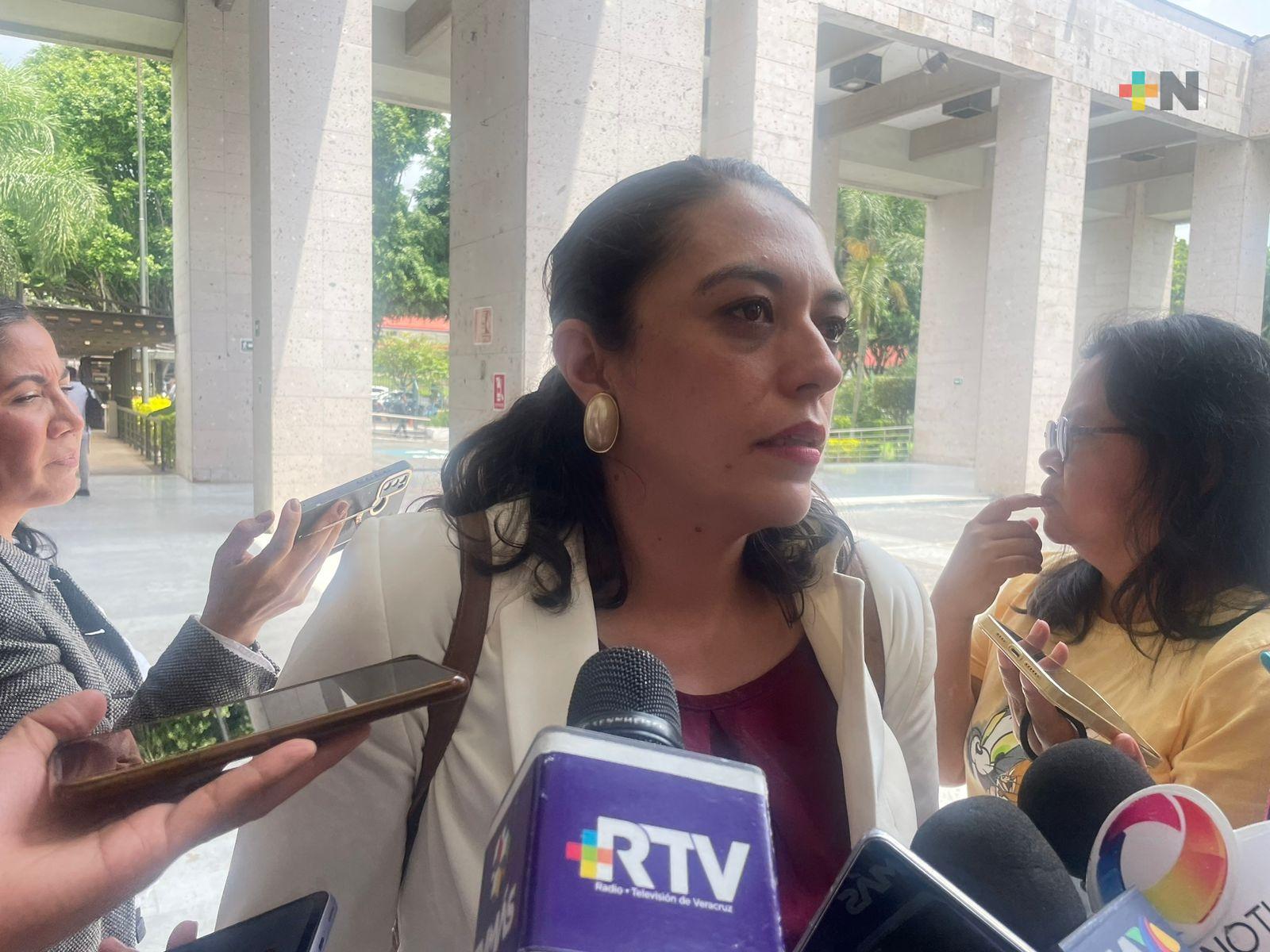 Al menos 24 municipios veracruzanos afectados por lluvias recientes: SPC