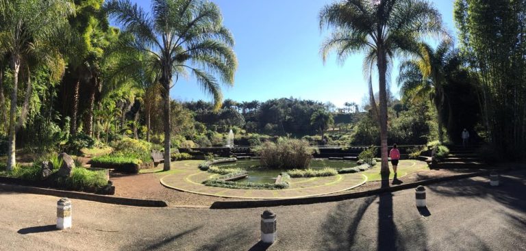 Invita GACX a las actividades del Festival Junio con Ambiente 2024